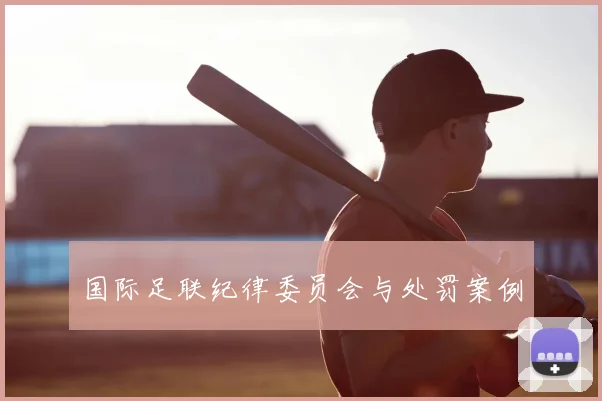 国际足联纪律委员会与处罚案例