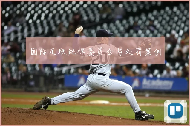 国际足联纪律委员会与处罚案例